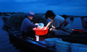 Lights illuminate early morning seafood trade on Tam Giang Lagoon floating market