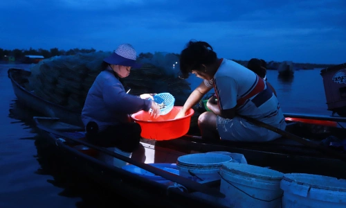 Lights illuminate early morning seafood trade on Tam Giang Lagoon floating market