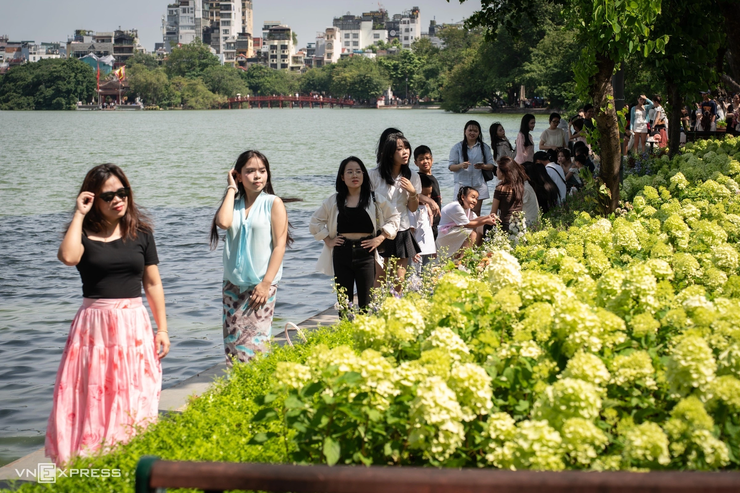 Long queues form for hydrangea photos by Hoan Kiem Lake