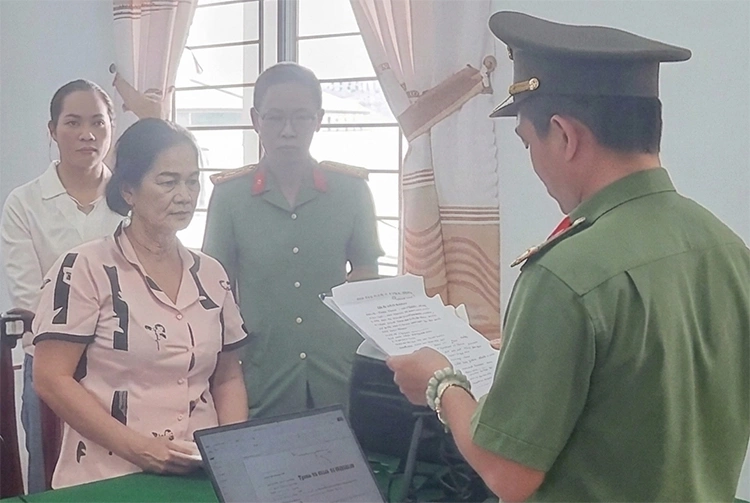 Woman accused of posting 48 false videos
