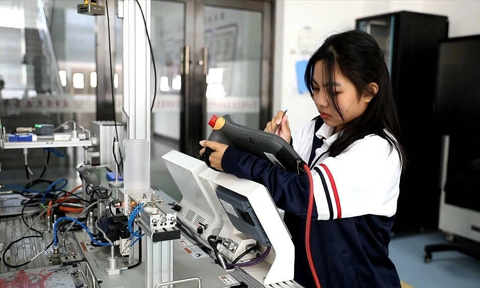 Vocational schools 'in demand' as parents worry about child unemployment