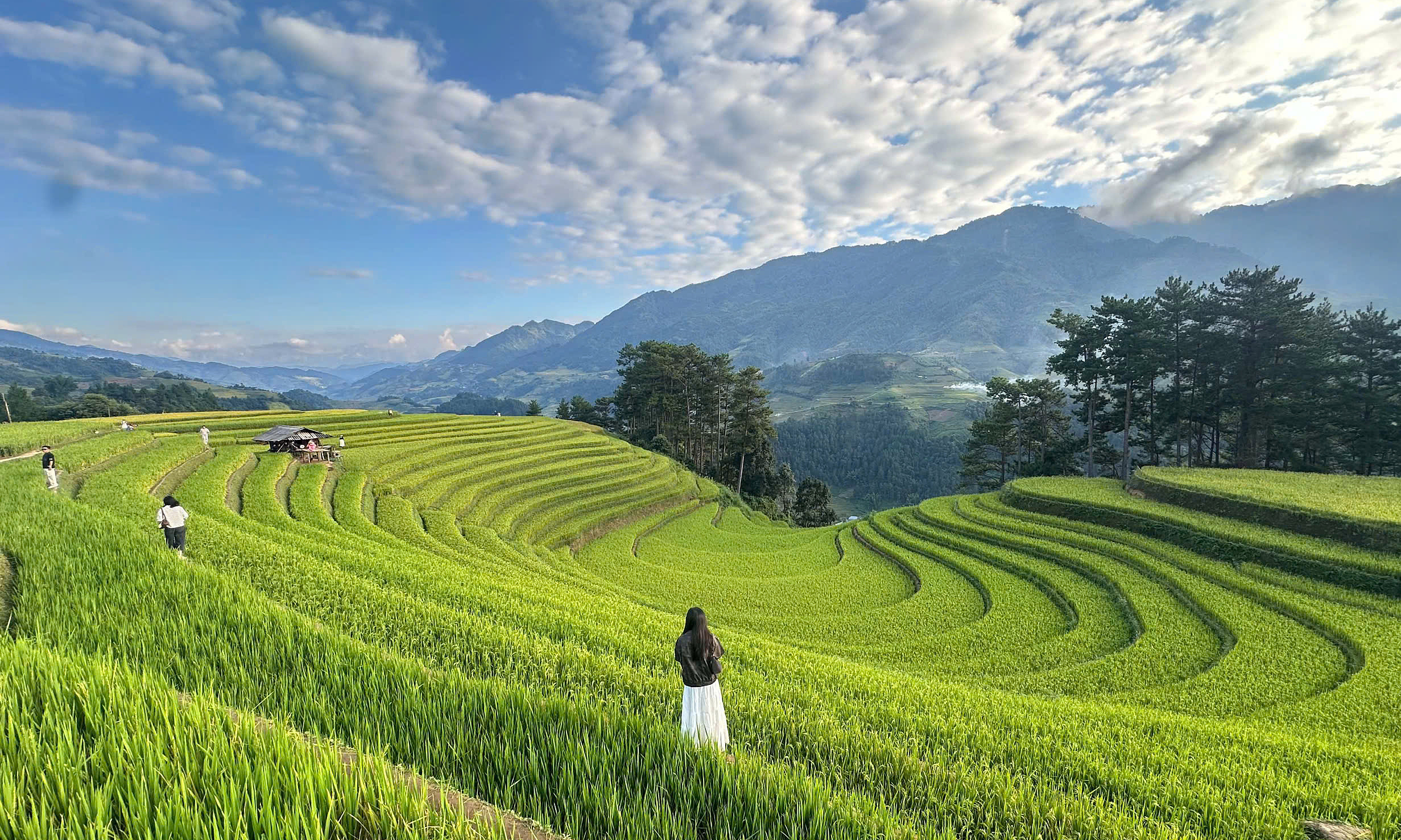 Mu Cang Chai basks in beautiful sunshine, but visitor numbers are low