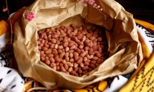 5 essential nutrients for women during menopause