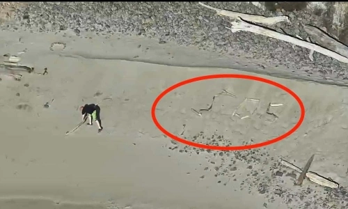 Tourists rescued after spelling 'SOS' with driftwood