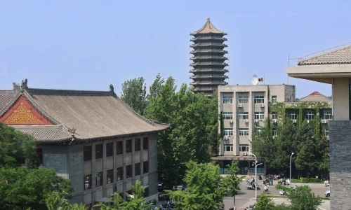 Privileges for talent joining Chinese universities