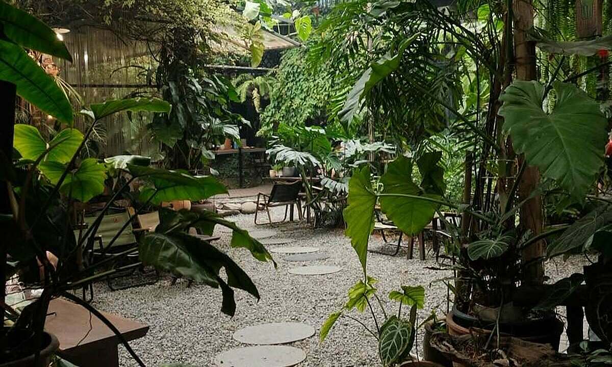 8 garden cafes to enjoy Hanoi's autumn