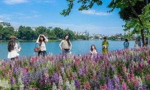 New flower display at Ho Guom attracts visitors