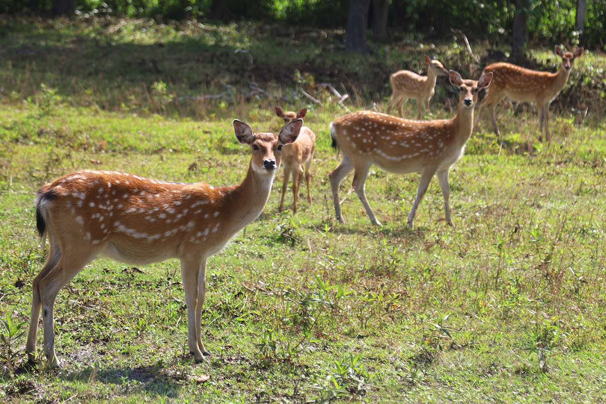 Gia Lai province provides up to 2.5 billion VND for community tourism sites