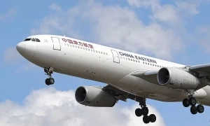 Airline bans passenger who forced flight attendant to kneel in apology