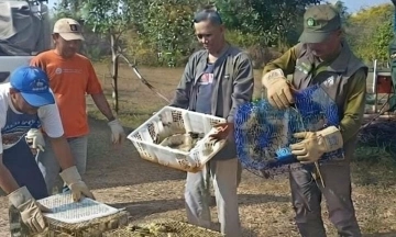 Two Vietnamese nationals arrested in Indonesia on charges of smuggling 3,400 ornamental birds