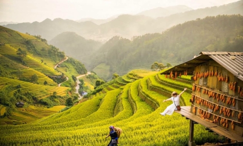 Mu Cang Chai in the final days of harvest