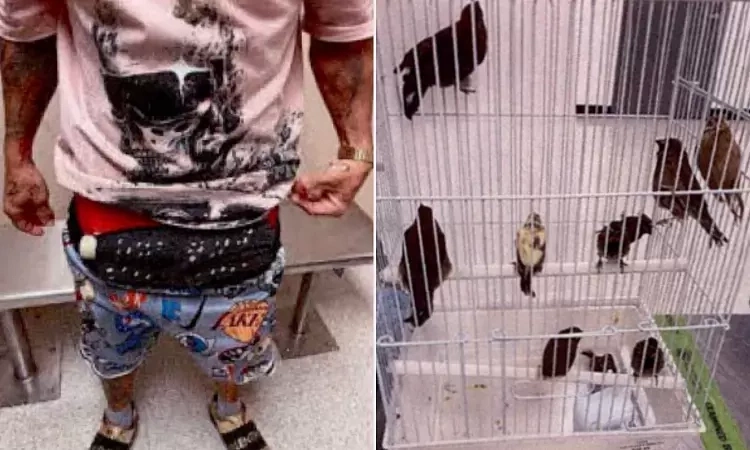Man ties 10 live birds to his pants, smuggling them from Cuba to the US