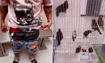 Man ties 10 live birds to his pants, smuggling them from Cuba to the US