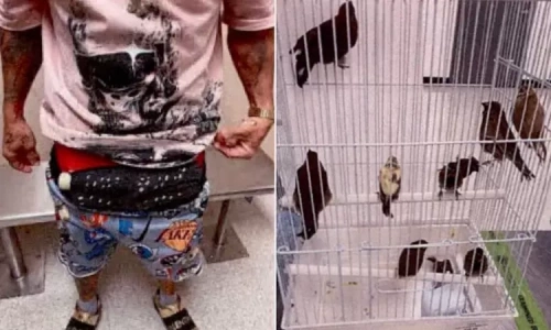 Man ties 10 live birds to his pants, smuggling them from Cuba to the US