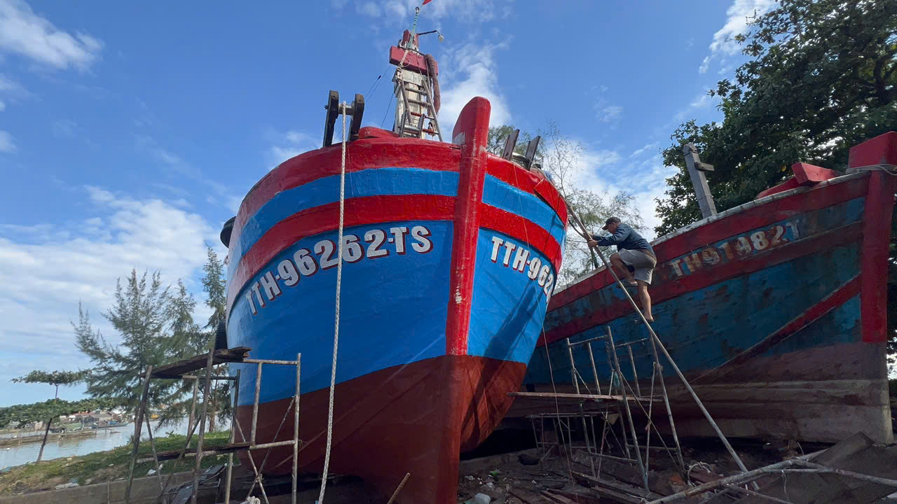 Hue fisherman nets 16 tons of triggerfish, earns nearly 1.4 billion VND
