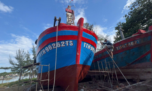 Hue fisherman nets 16 tons of triggerfish, earns nearly 1.4 billion VND