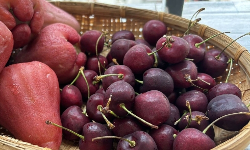 5 foods to eat weekly to support visceral fat reduction