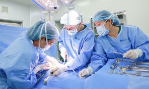C-section combines fibroid removal and sterilization