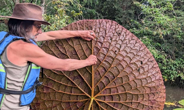 Giant flower species discovered thanks to a 5-year-old photo