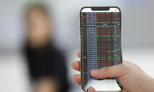 VN-Index drops to two-month low