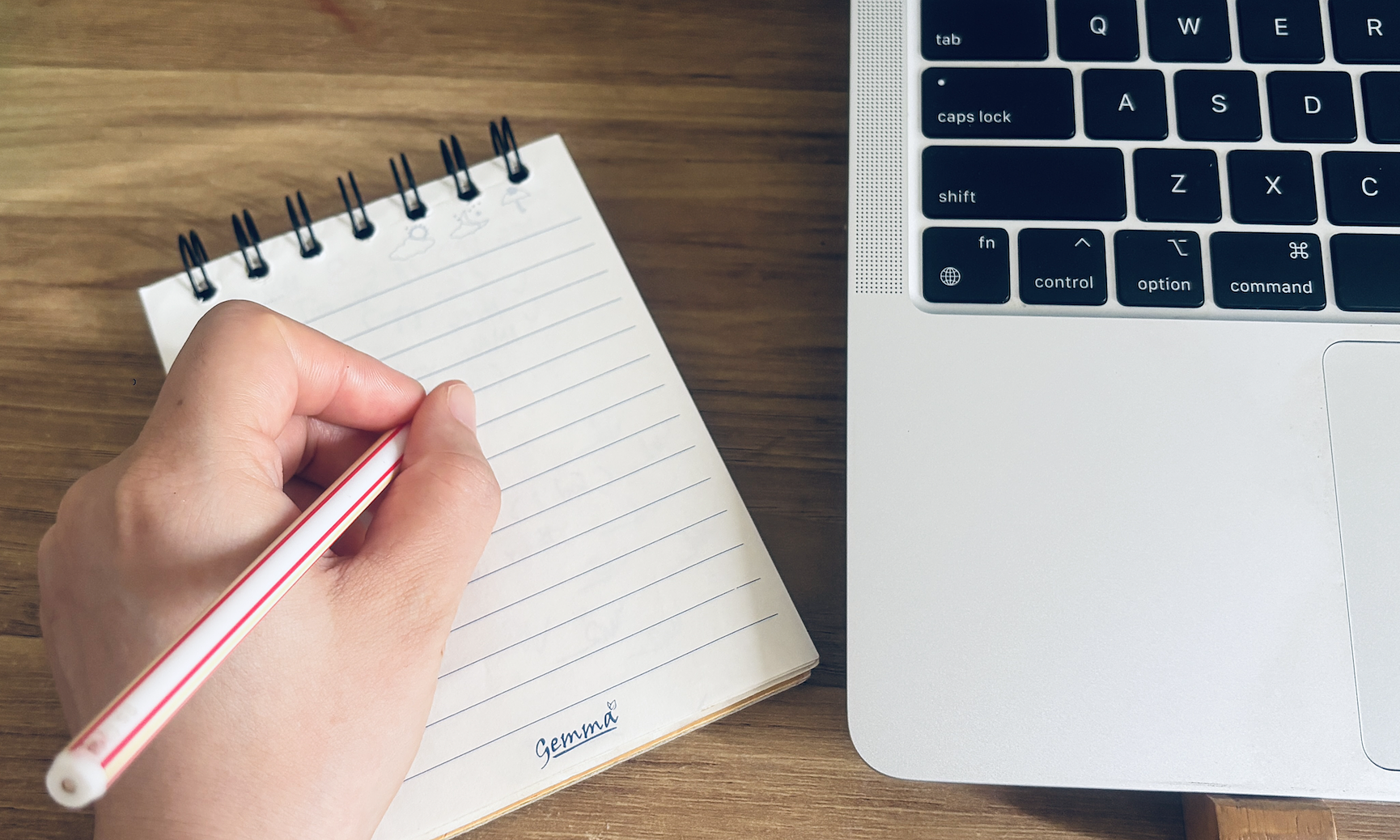 How do left-handed brains differ?