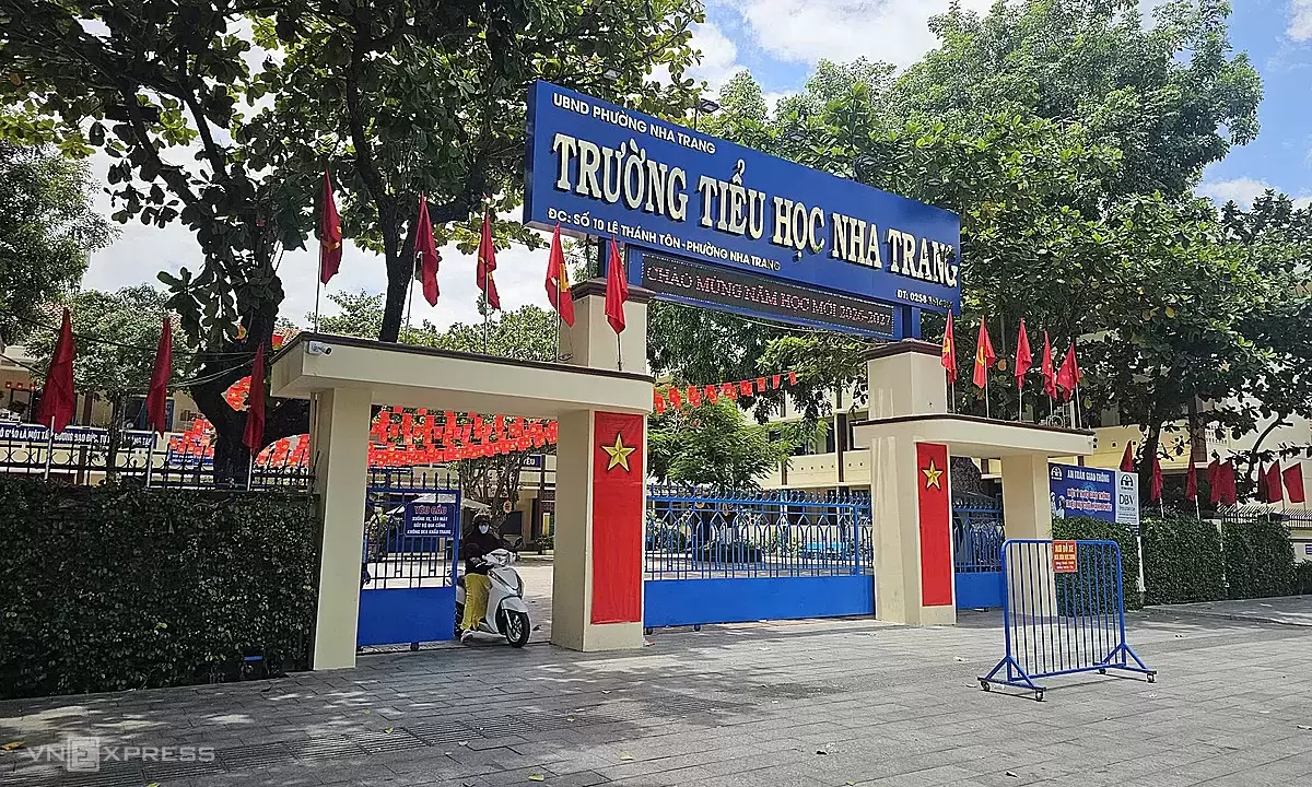 Review of 114 'mega-schools' with over 100 classes after mergers