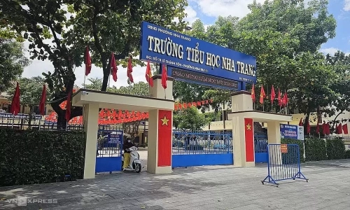 Review of 114 'mega-schools' with over 100 classes after mergers