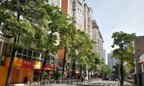 Residents in many asian cities suffer from the alstonia scent