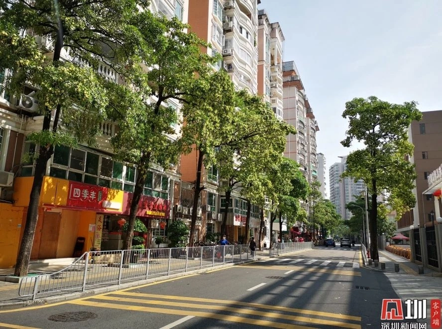 Residents in many asian cities suffer from the alstonia scent