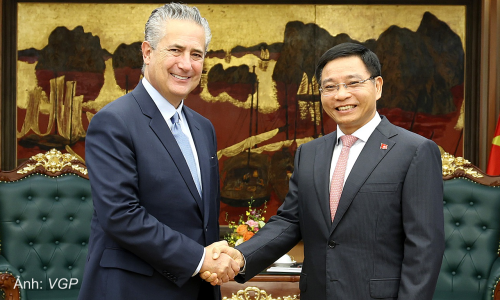 Citigroup aims to mobilize capital for Vietnam's energy sector