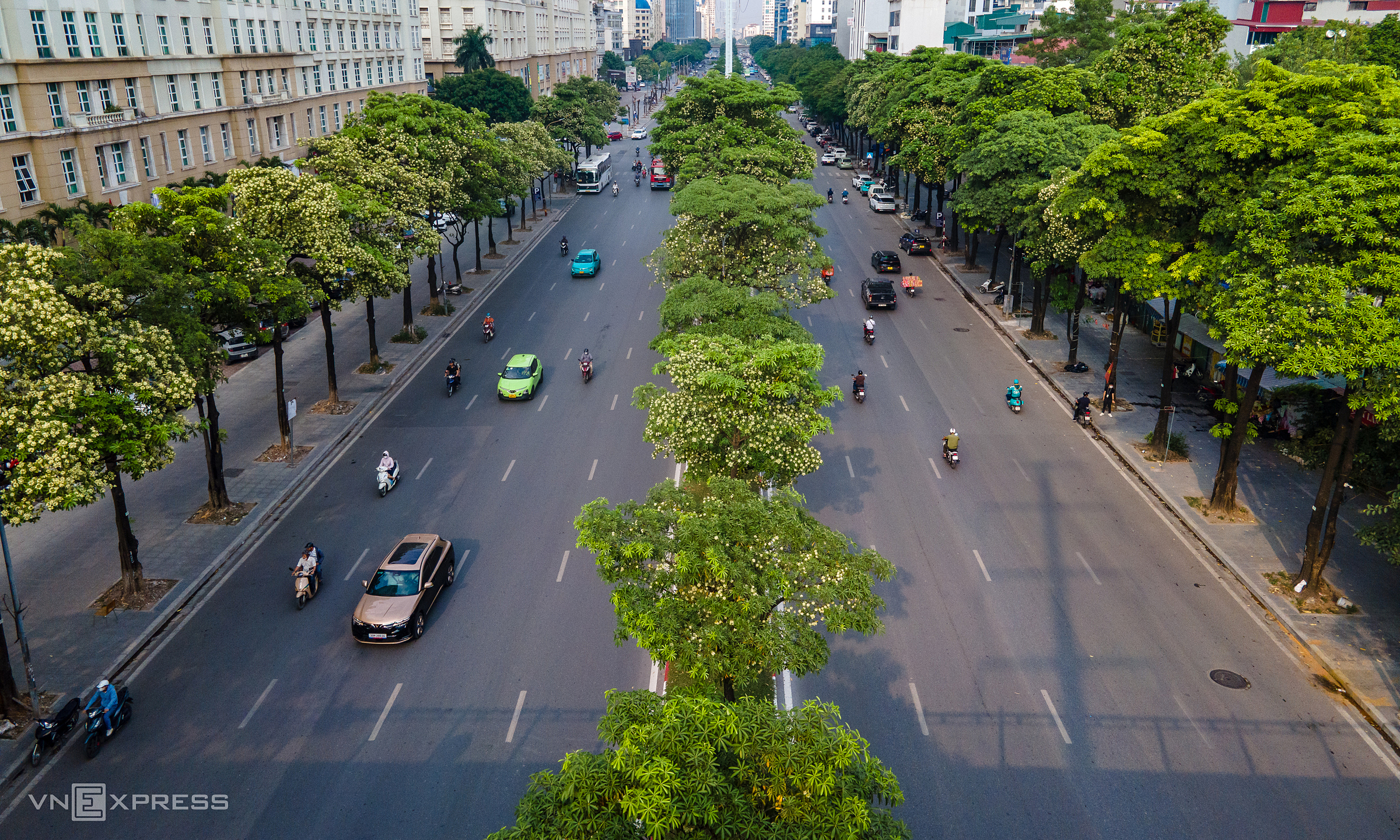 Over 100 years of ups and downs for Hanoi's milk flower