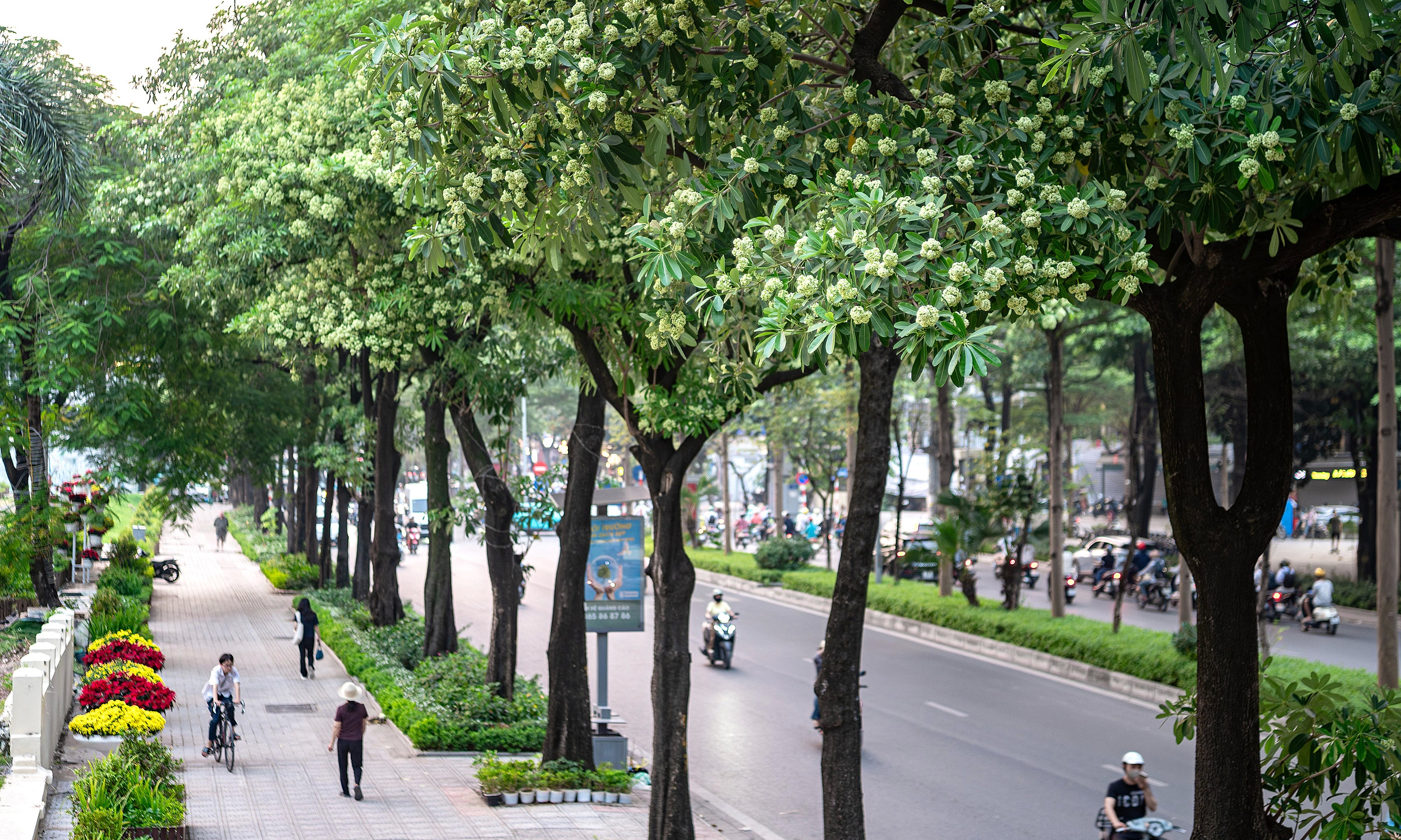 Vietnam among the world's most beautiful autumn destinations list