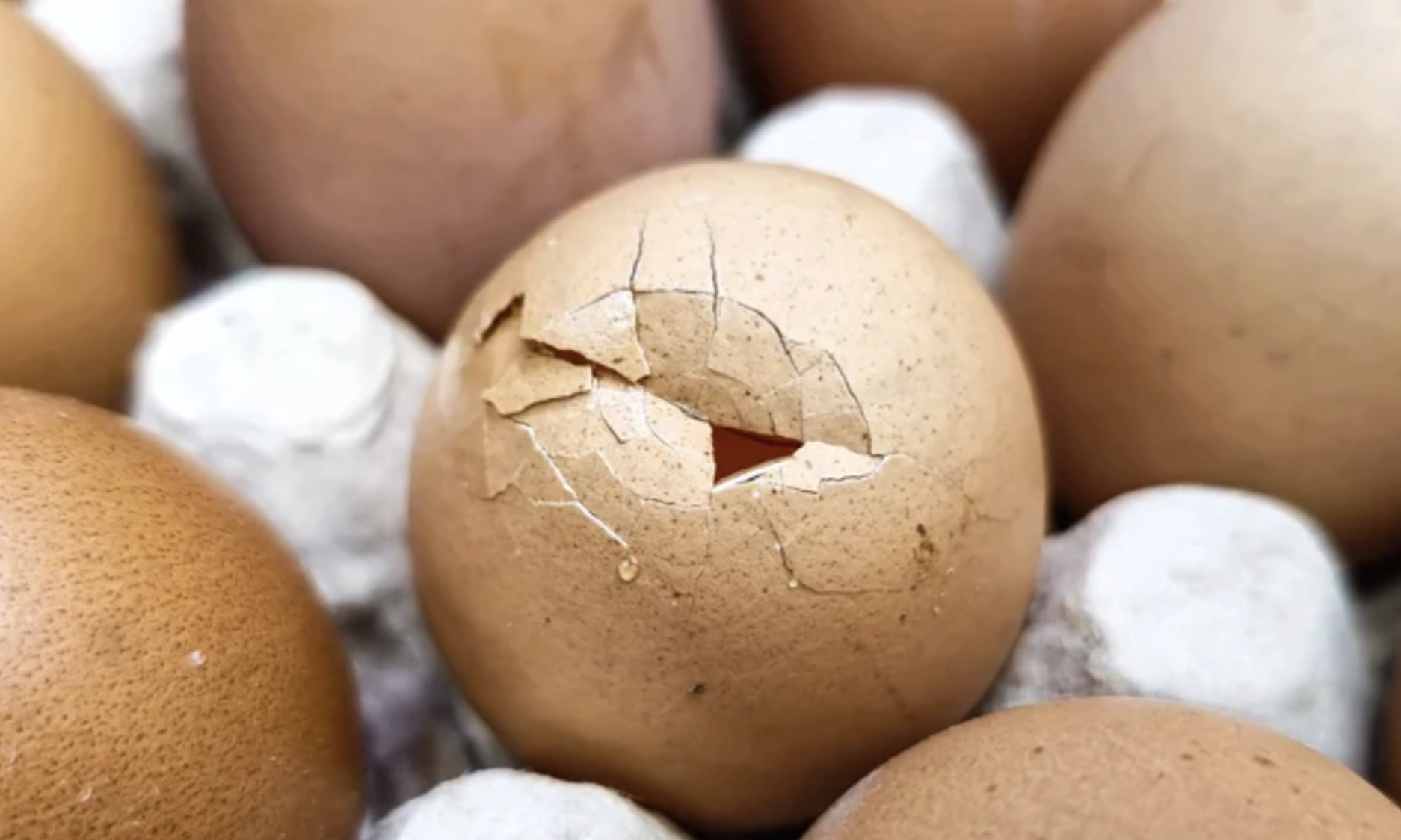 Are cracked eggs safe to eat?