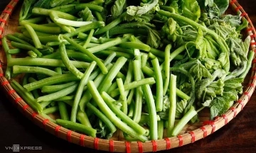 Why fiber is beneficial for cardiovascular health